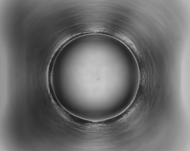 X0000096411039200801241217