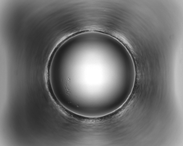 X0000096411040200801241217