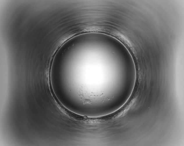 X0000096411041200801241217