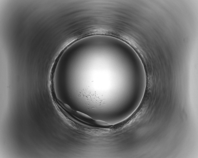X0000096411042200801241217