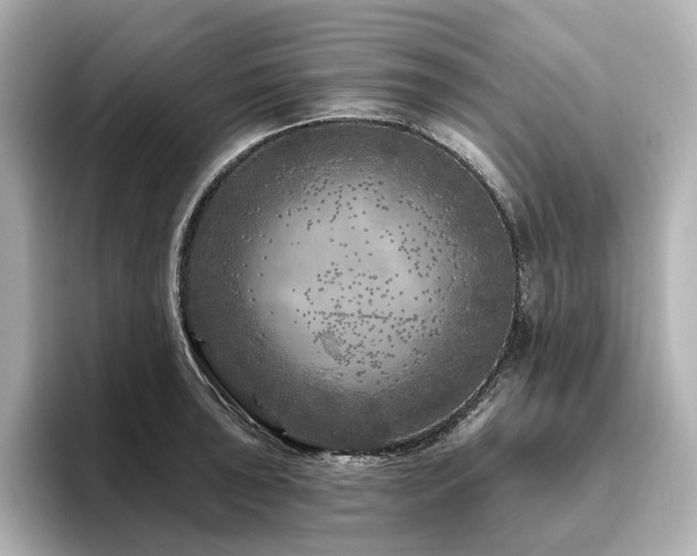 X0000096411043200801241217