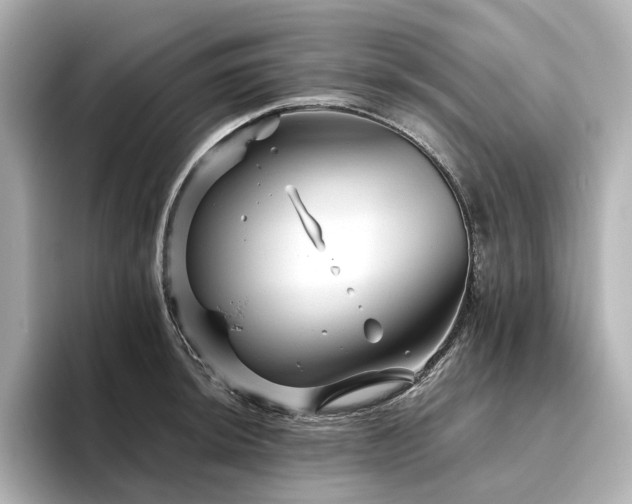 X0000096411044200801241217