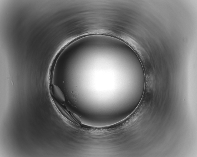 X0000096411046200801241217