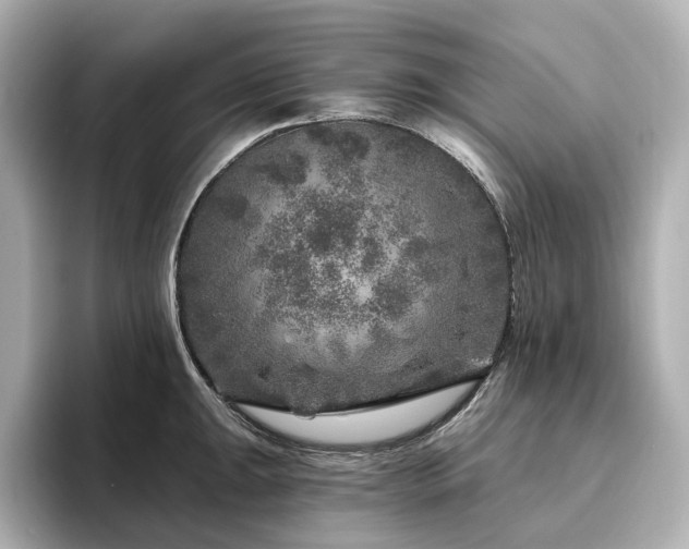 X0000096411047200801241217