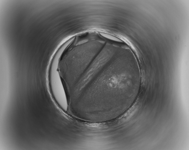 X0000096411048200801241217