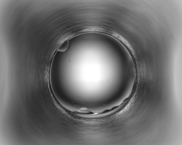 X0000096411049200801241217