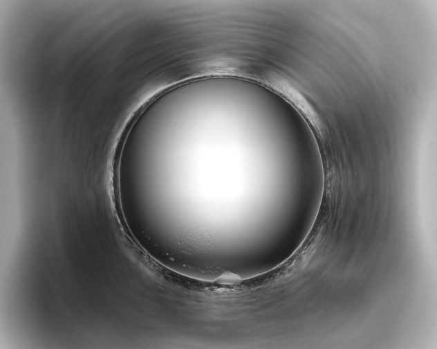 X0000096411051200801241217