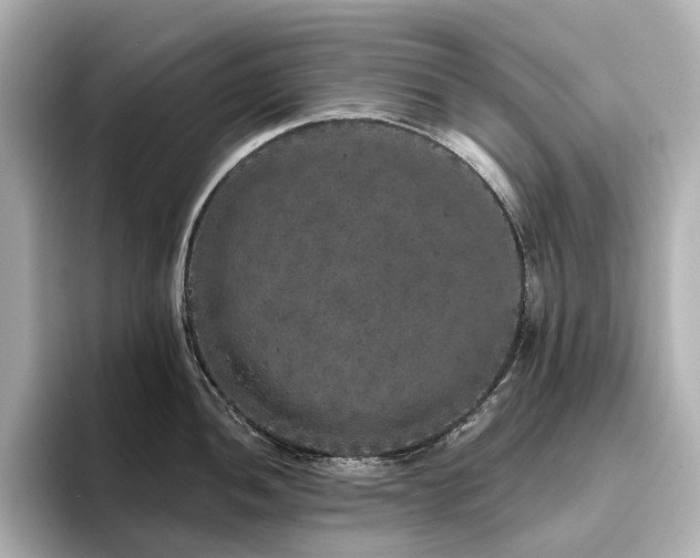 X0000096411052200801241217