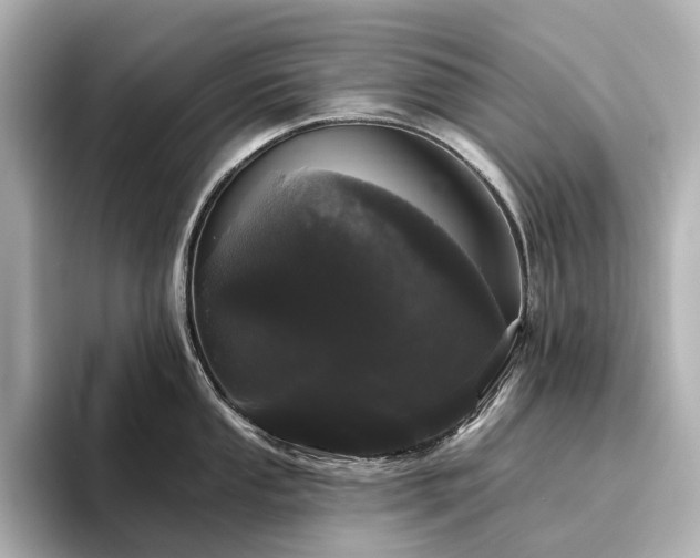 X0000096411053200801241217