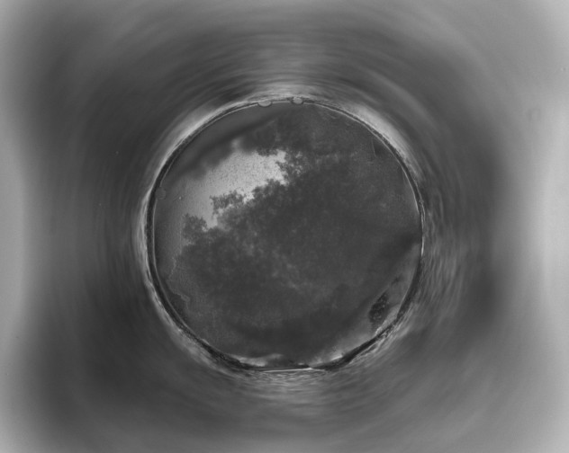 X0000096411055200801241217