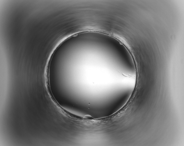 X0000096411056200801241217