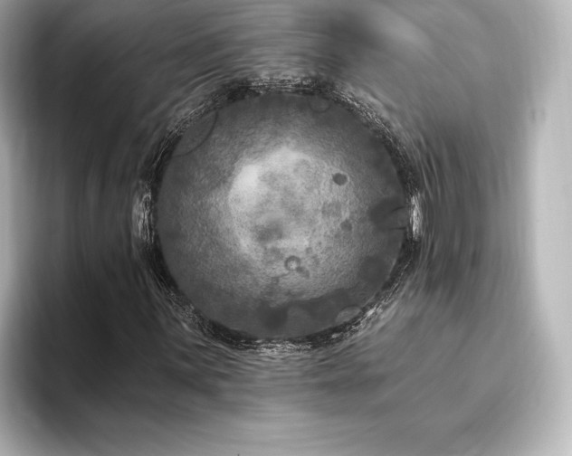 X0000096411059200801241216