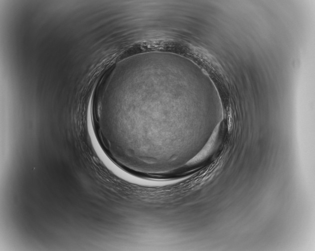X0000096411060200801241216