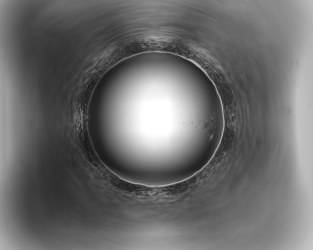X0000096411061200801241216