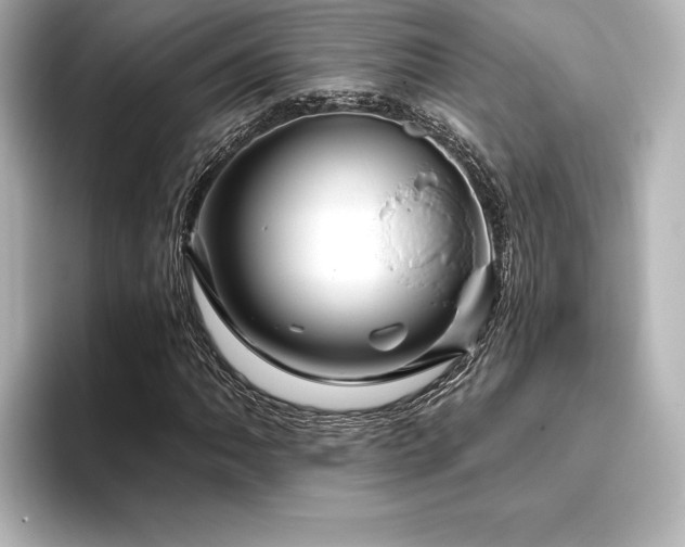 X0000096411062200801241216