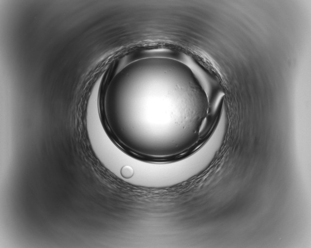 X0000096411064200801241216