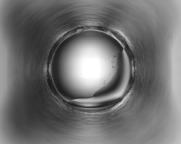 X0000096411065200801241216