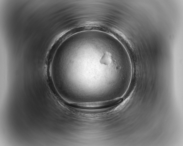 X0000096411066200801241216