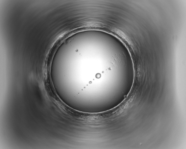 X0000096411067200801241216