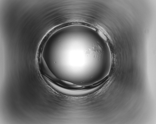 X0000096411068200801241216