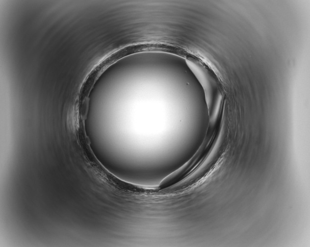 X0000096411069200801241216