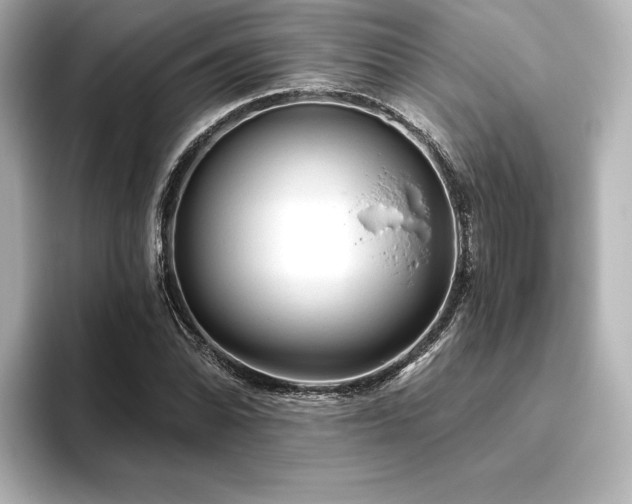 X0000096411070200801241216