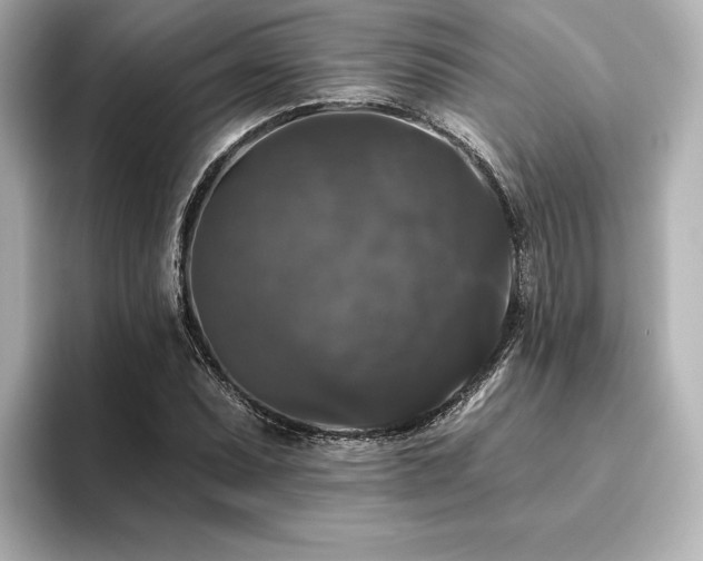 X0000096411071200801241216