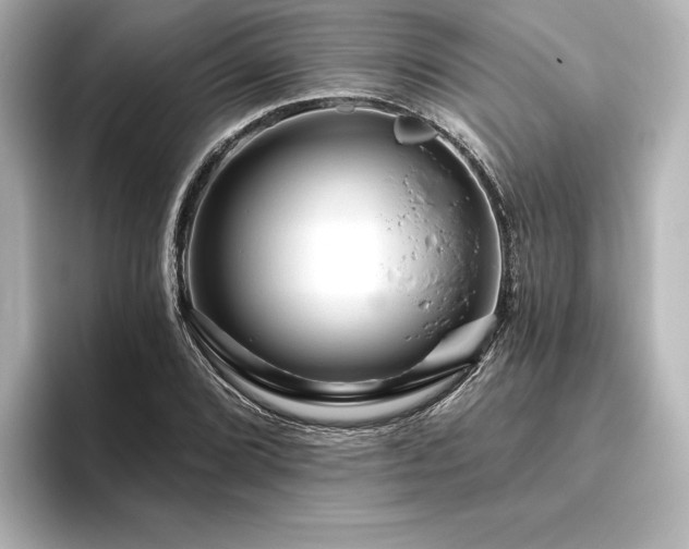 X0000096411072200801241216