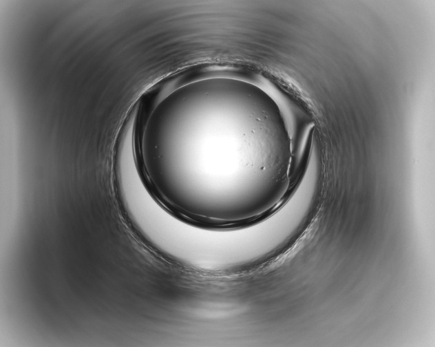 X0000096411073200801241216