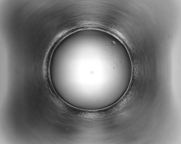 X0000096411074200801241216