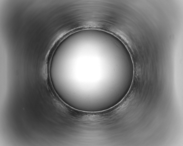 X0000096411075200801241216