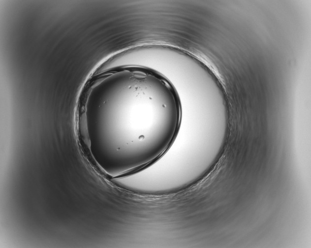X0000096411076200801241216