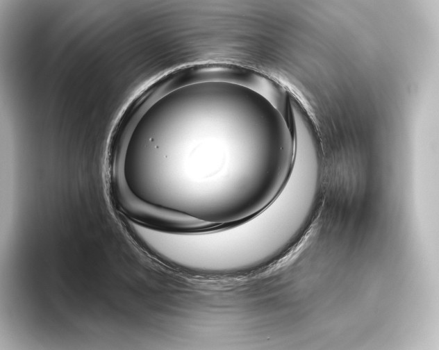 X0000096411077200801241216