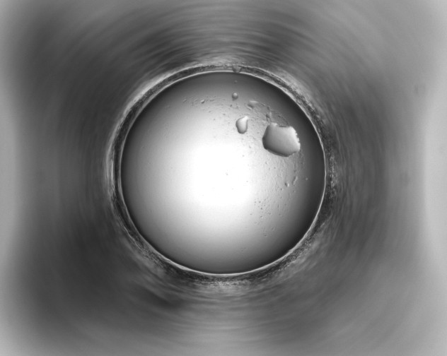 X0000096411078200801241216