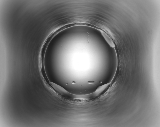 X0000096411080200801241216