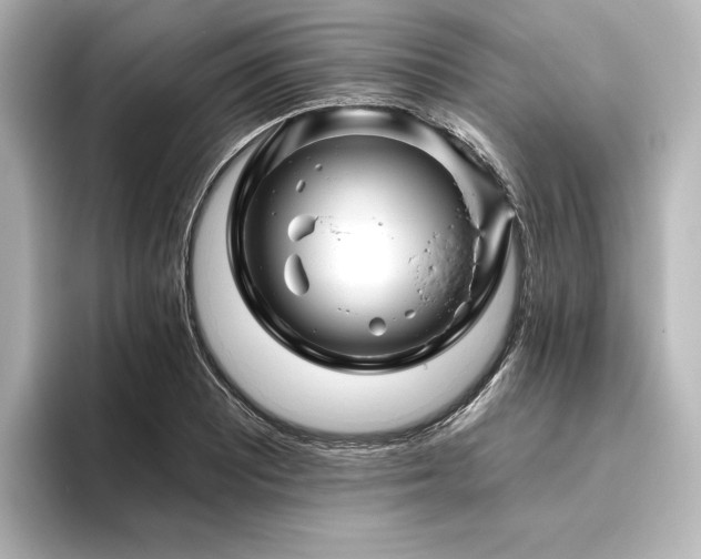 X0000096411081200801241216
