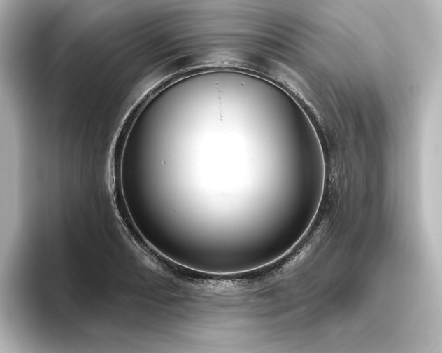 X0000096411082200801241216