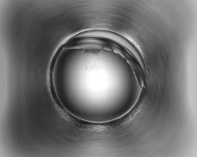 X0000096411085200801241216