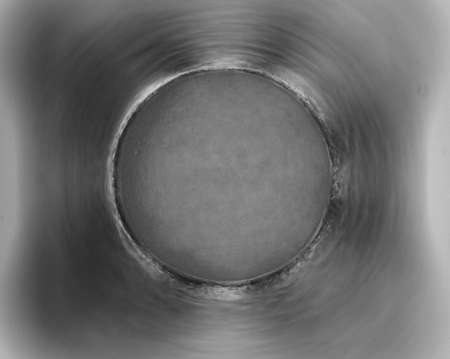 X0000096411086200801241216