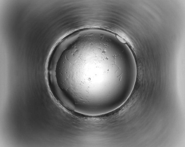 X0000096411088200801241216