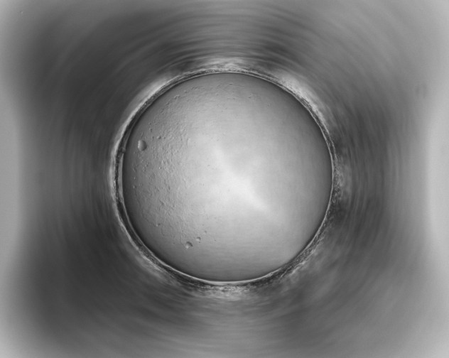 X0000096411090200801241216