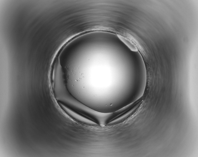 X0000096411092200801241216