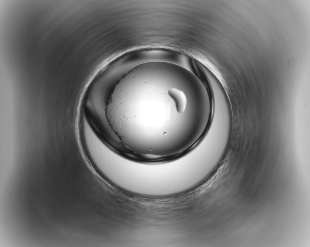 X0000096411093200801241216