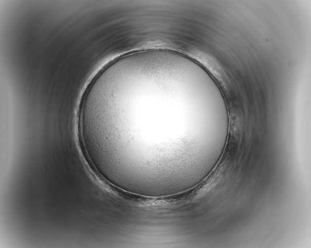 X0000096411094200801241216