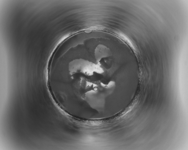 X0000096411095200801241216