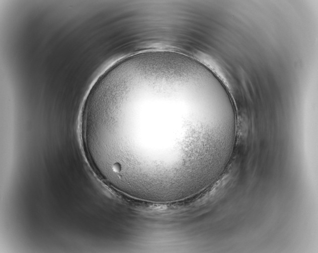 X0000096411098200801241216