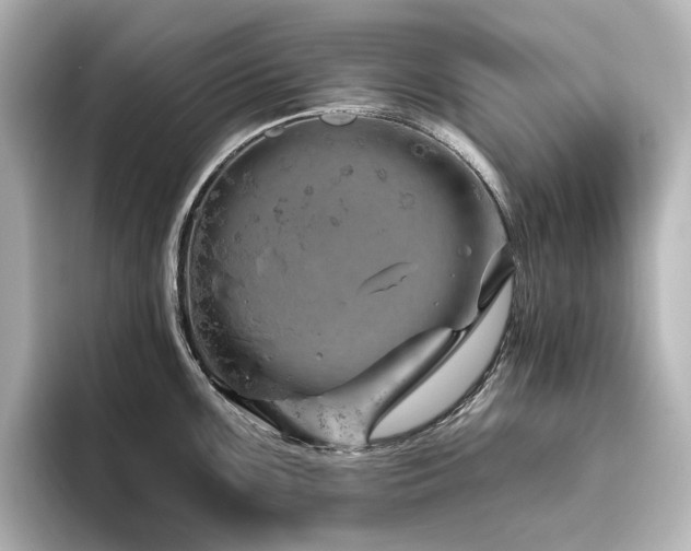 X0000096411099200801241216