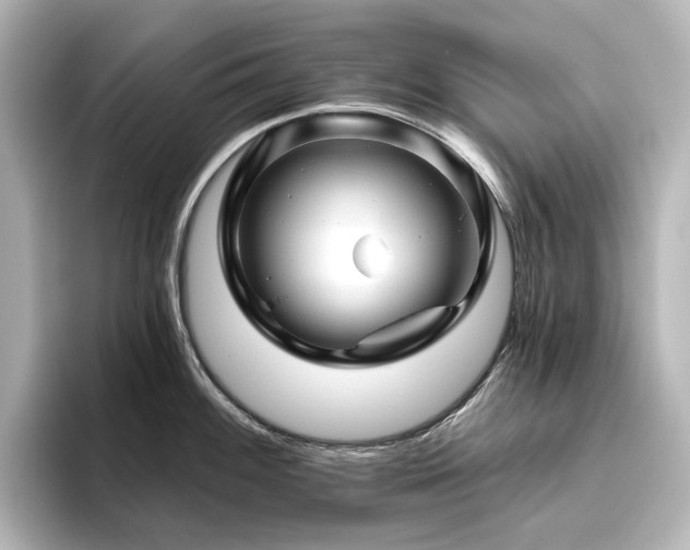 X0000096411100200801241216