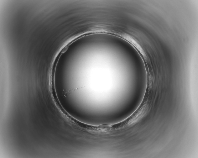 X0000096411101200801241216