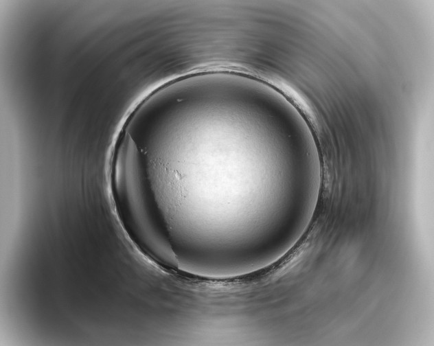 X0000096411102200801241216